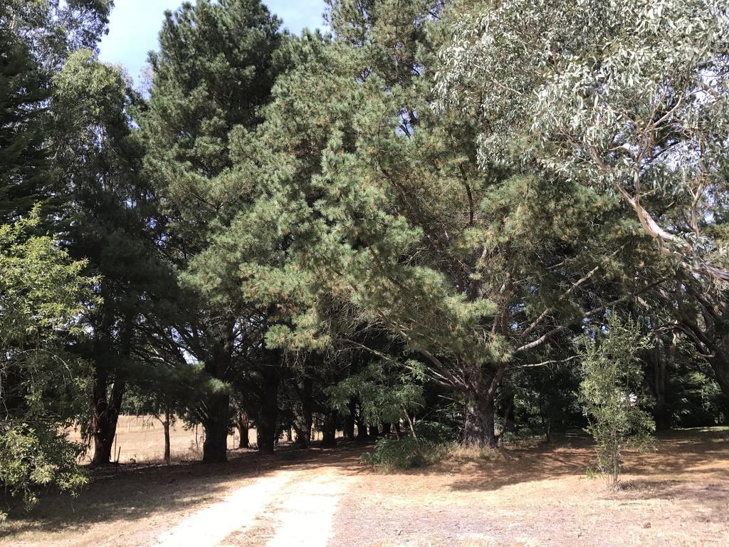 Helen'S Homestead Enfield Ngoại thất bức ảnh