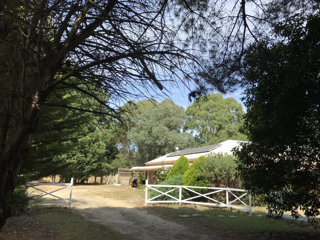 Helen'S Homestead Enfield Ngoại thất bức ảnh
